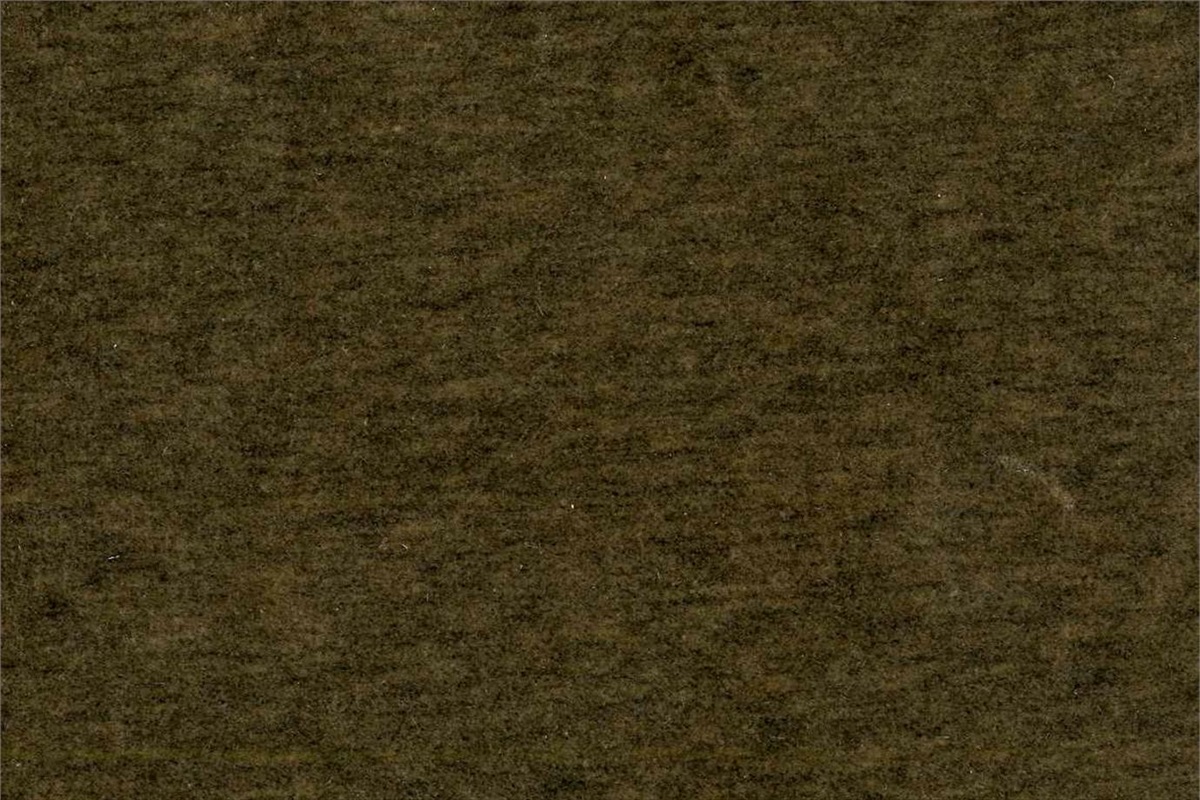 Fenice AC113-004