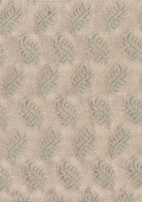 Fern F0243-04