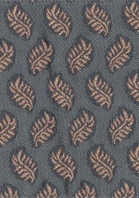 Fern F0243-05