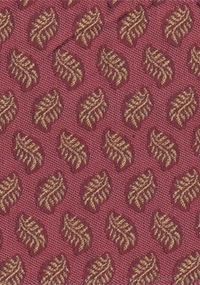 Fern F0243-03