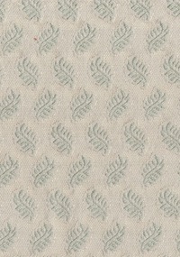 Fern F0243-01