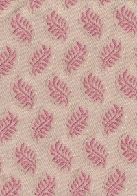 Fern F0243-02