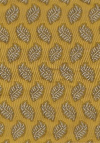 Fern F0243-08