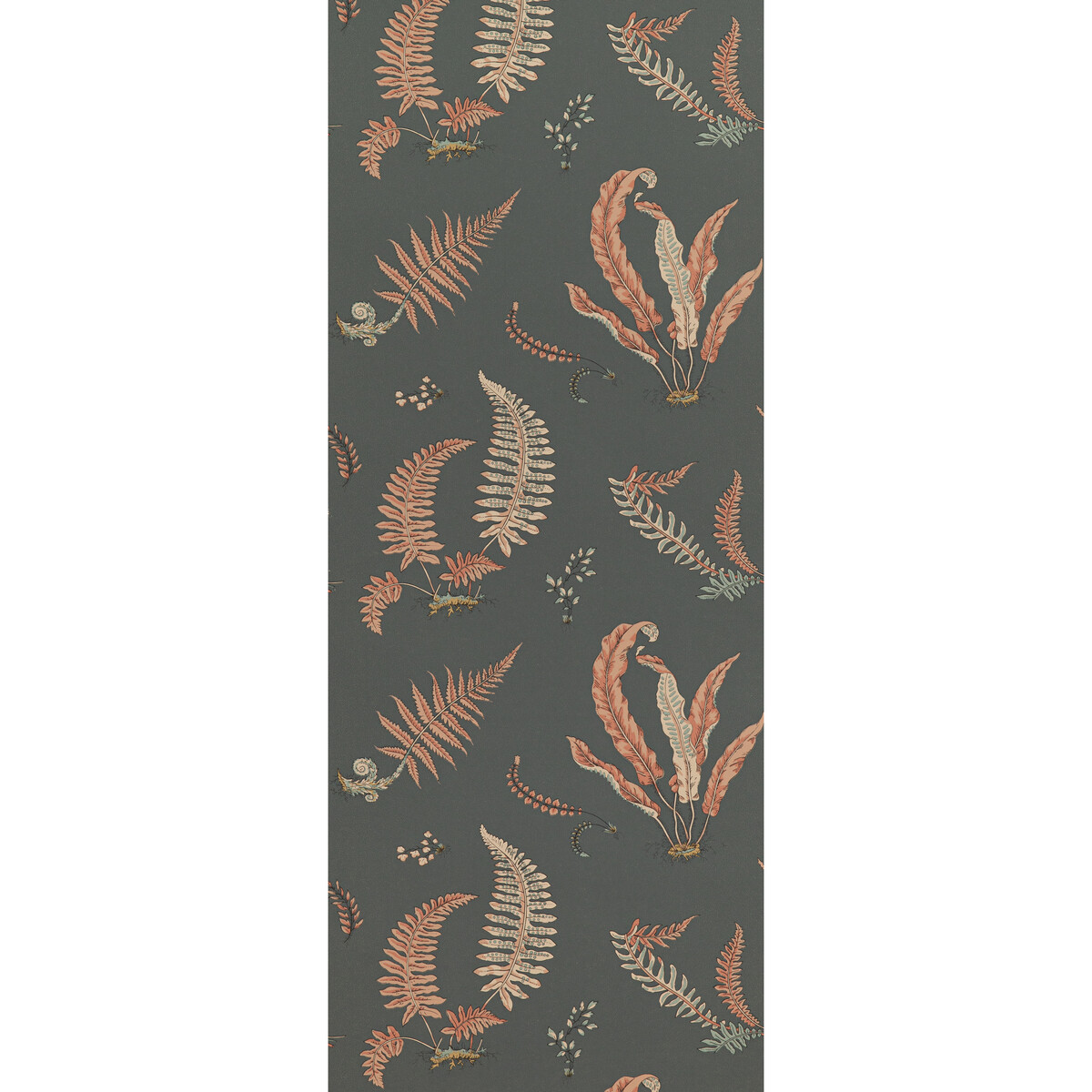 Ferns BW45044-13