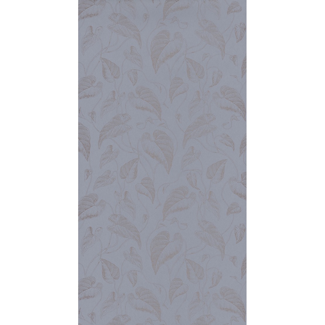 Feuilles de Vigne RDV 2904 61 04