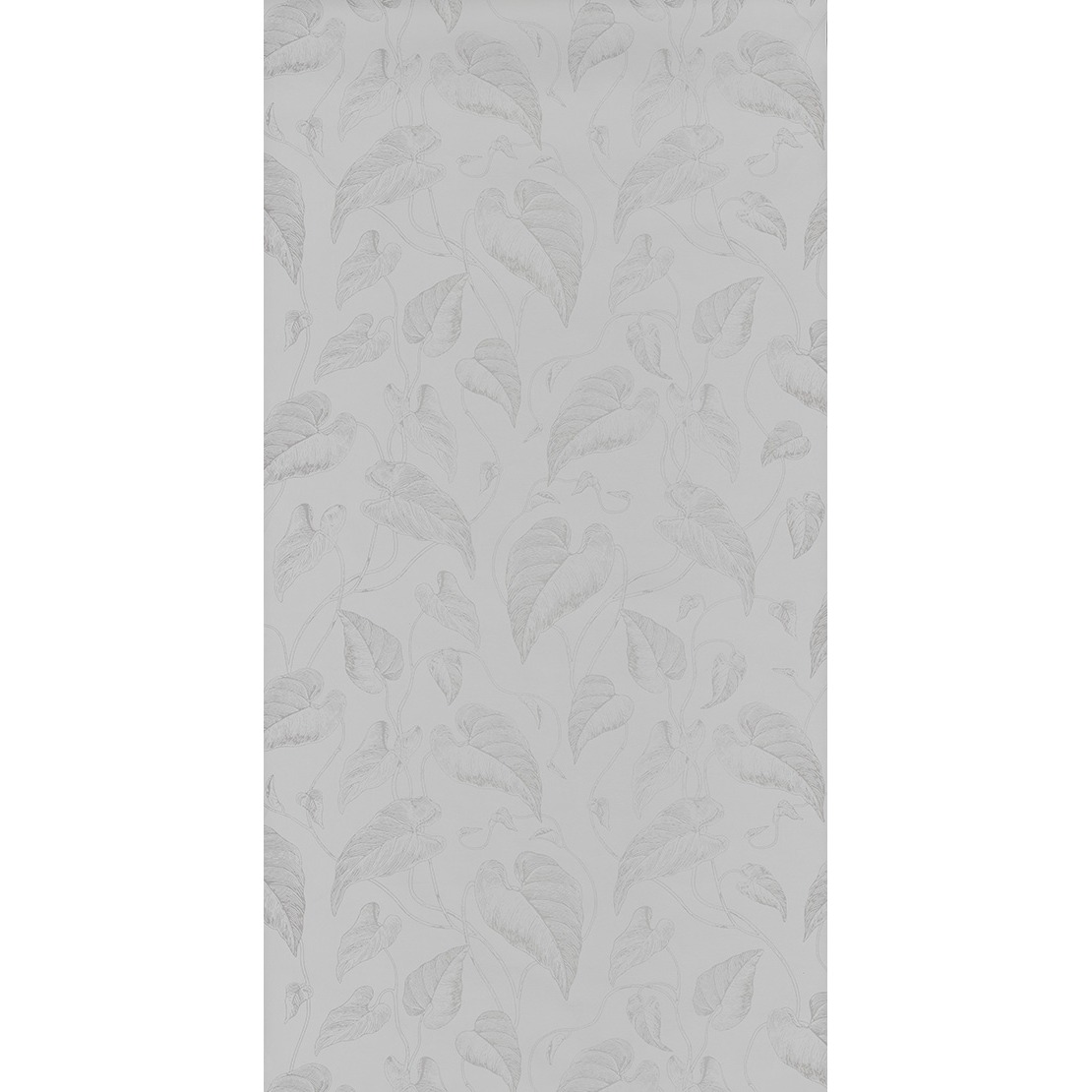 Feuilles de Vigne RDV 2904 92 10