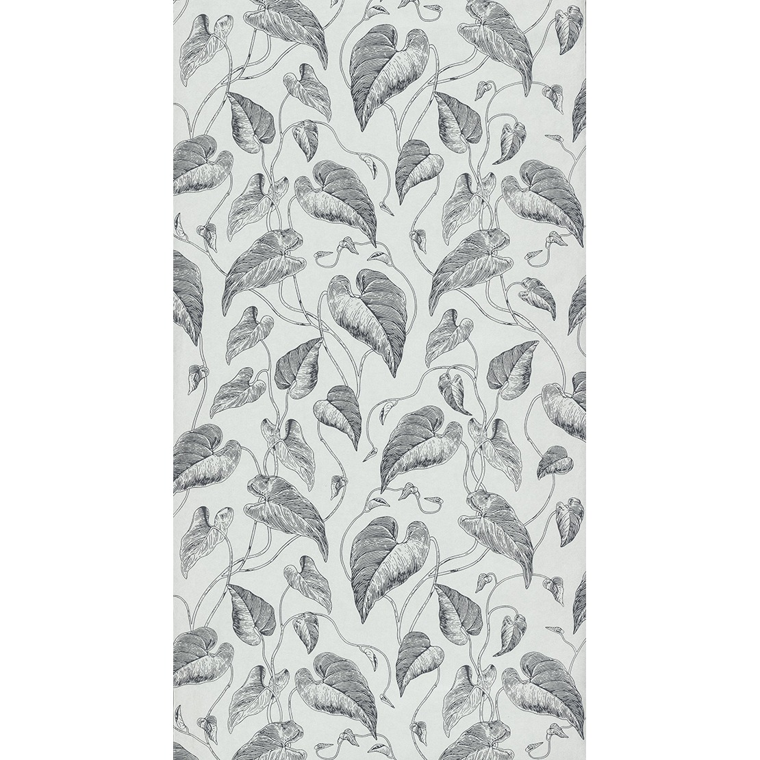 Feuilles de Vigne RDV 2904 98 31