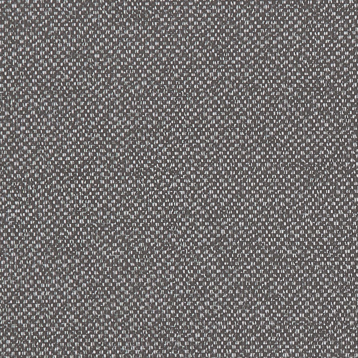 Filum F1421-01