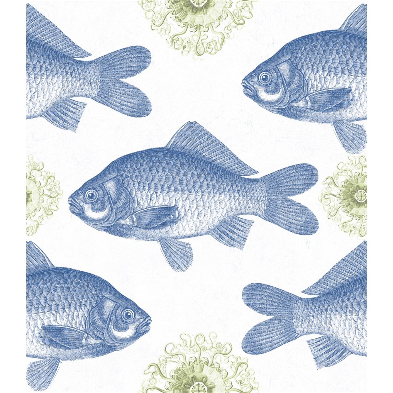 Fish Blue WP20009