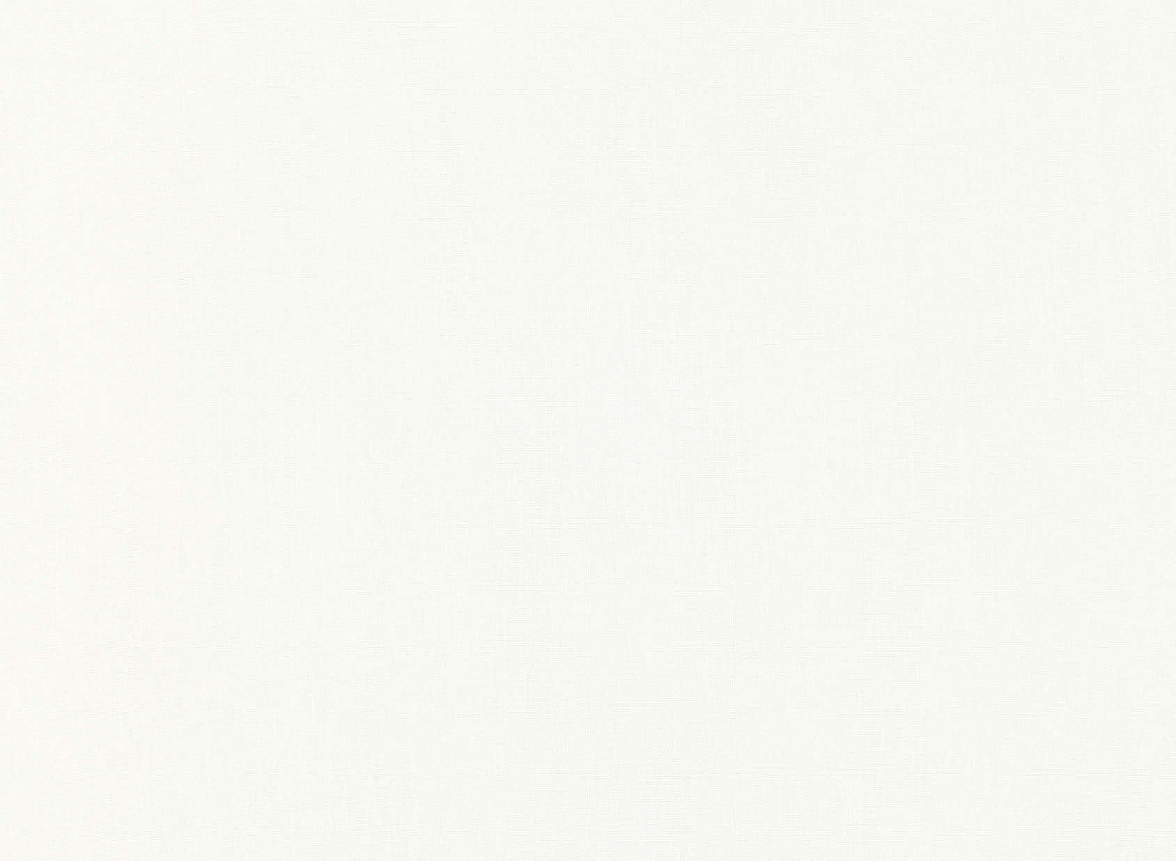 Flamands Chalk Z463-01