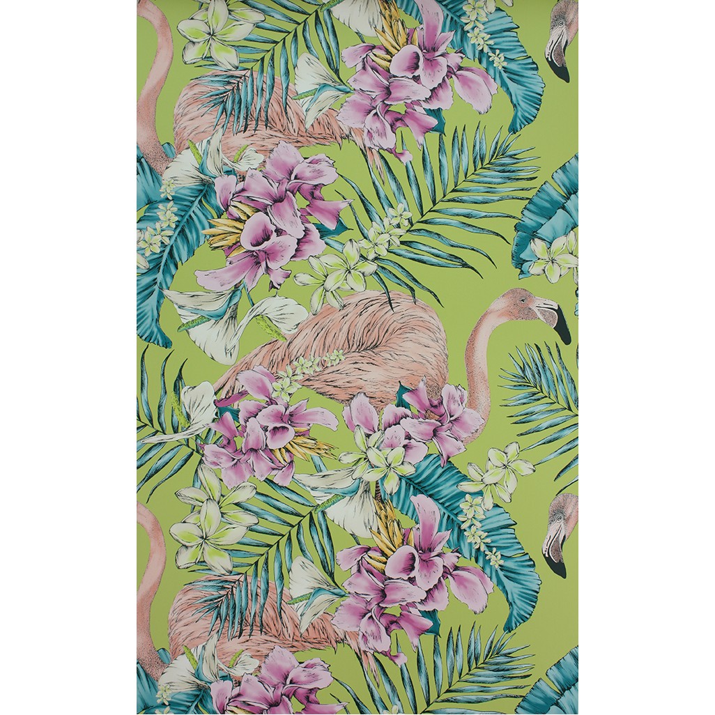 Flamingo Club W6800-02