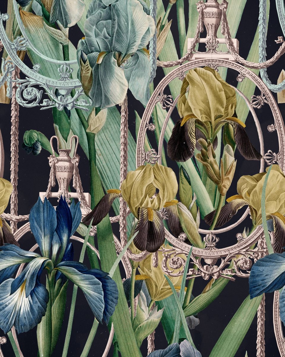 Fleurs D Iris WP20477