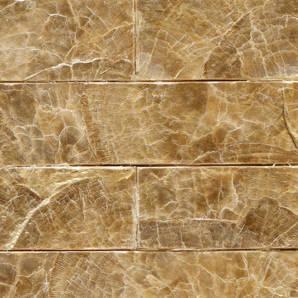 Flexi Mother of Pearl MR-MPS-02