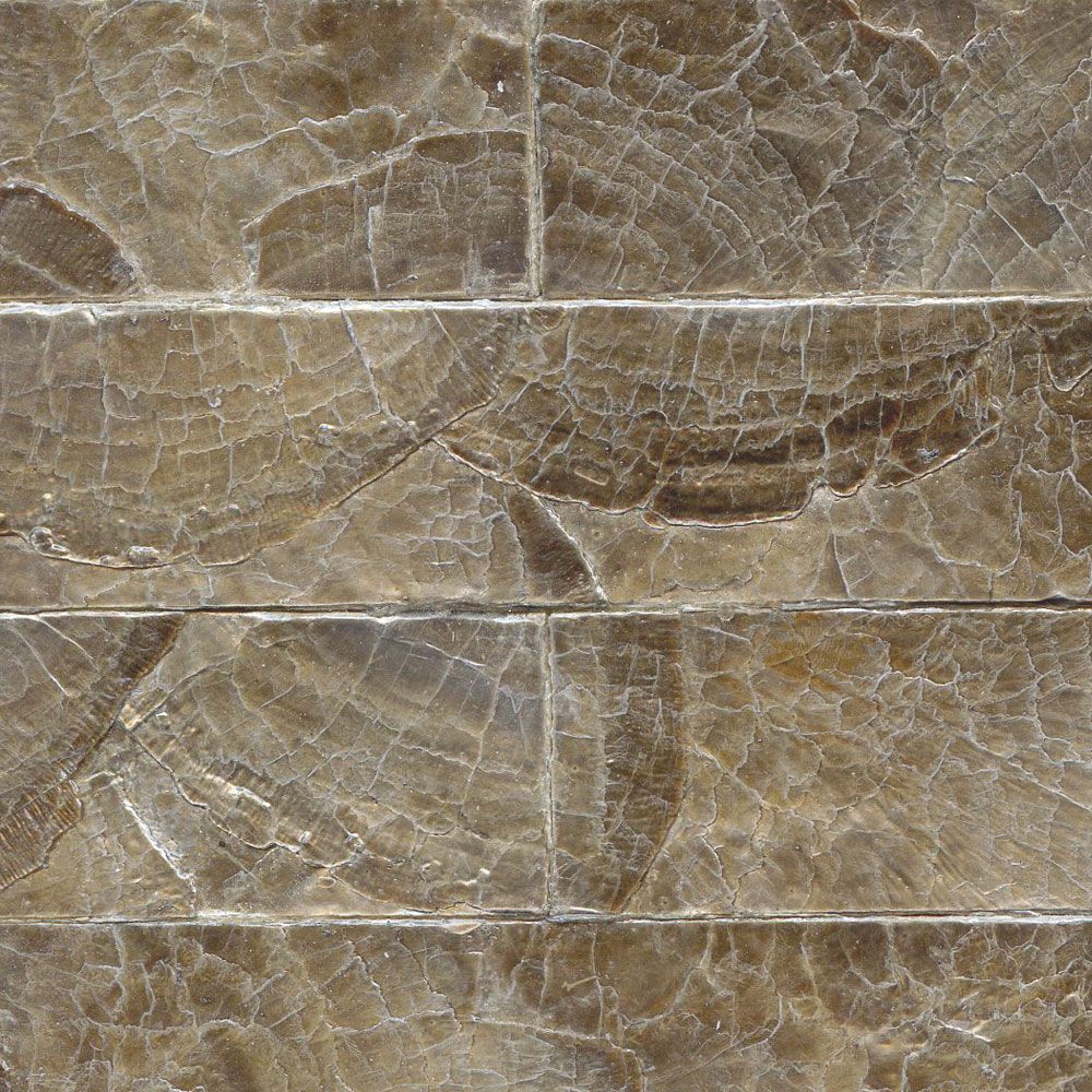Flexi Mother of Pearl MR-MPS-24