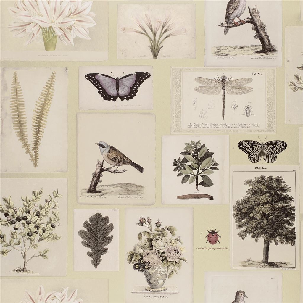 Flora and Fauna Canvas PJD6001-03