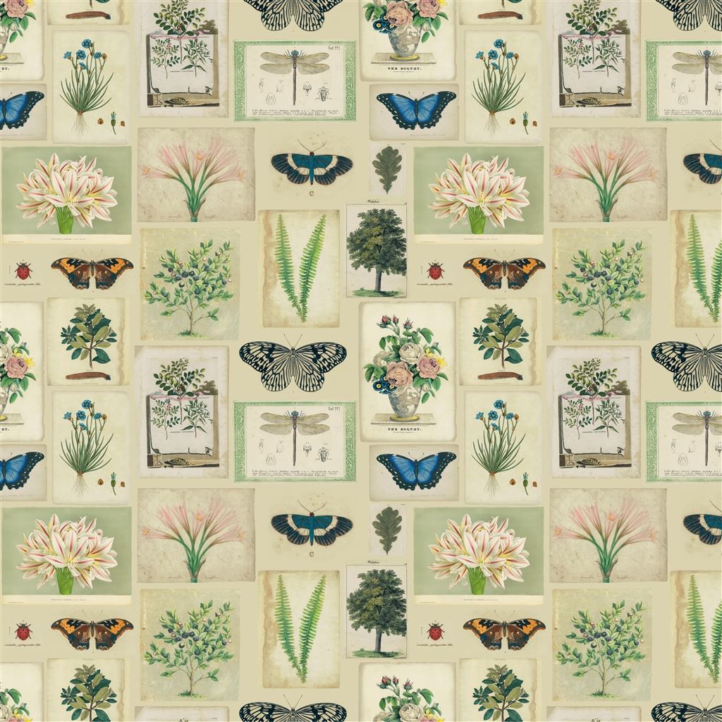 Flora and Fauna Parchment FJD6007-01