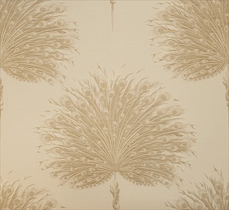 Florence CB60708