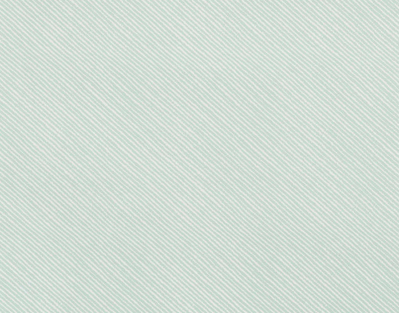 Floride LP113004