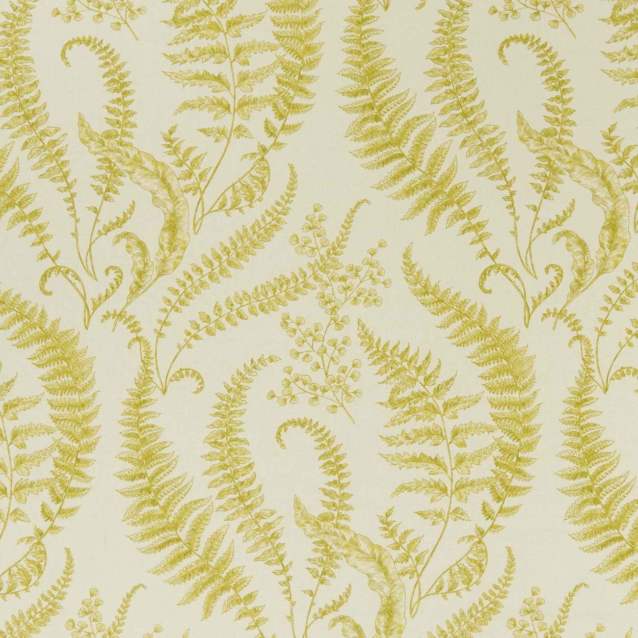 Folium F1328-01