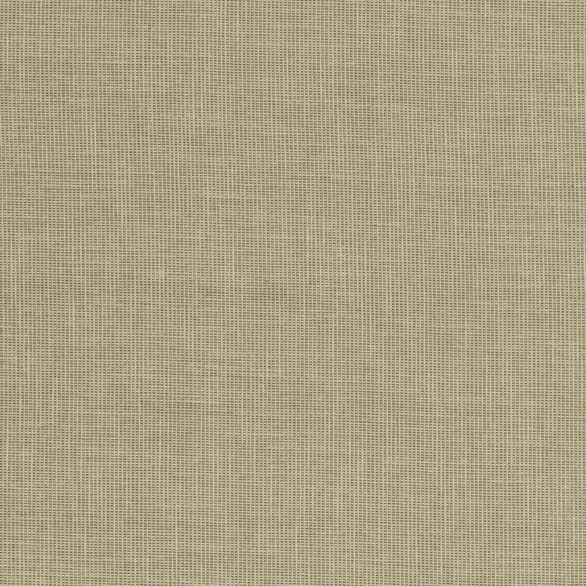 Folly PF50487-735