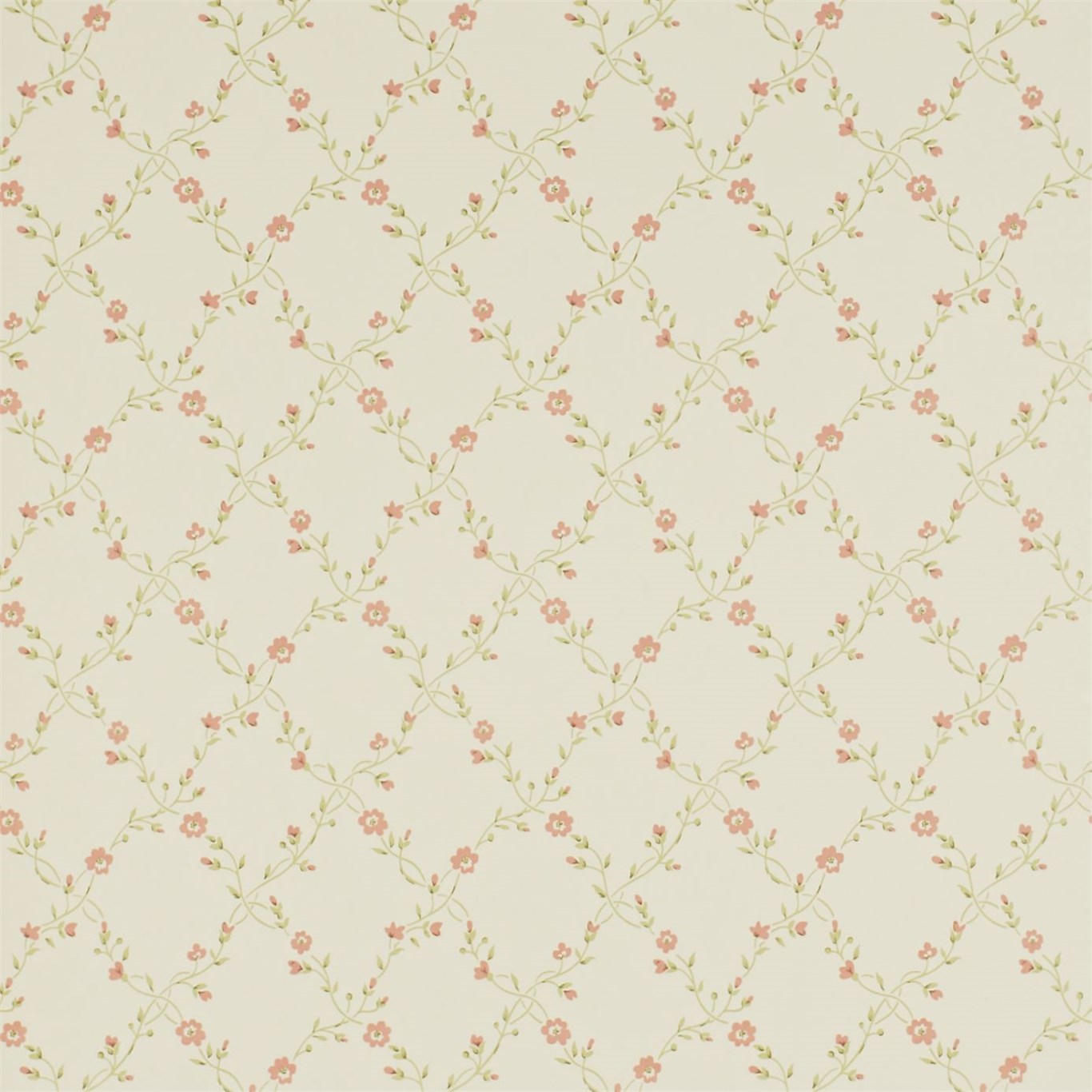 Forget me Not DPEMFM105