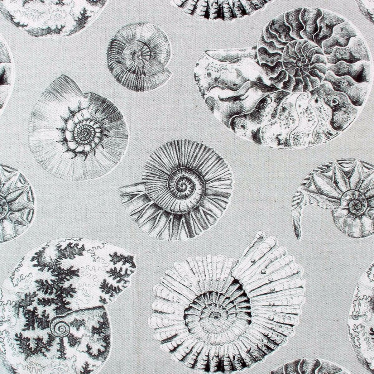 Fossilium Frost