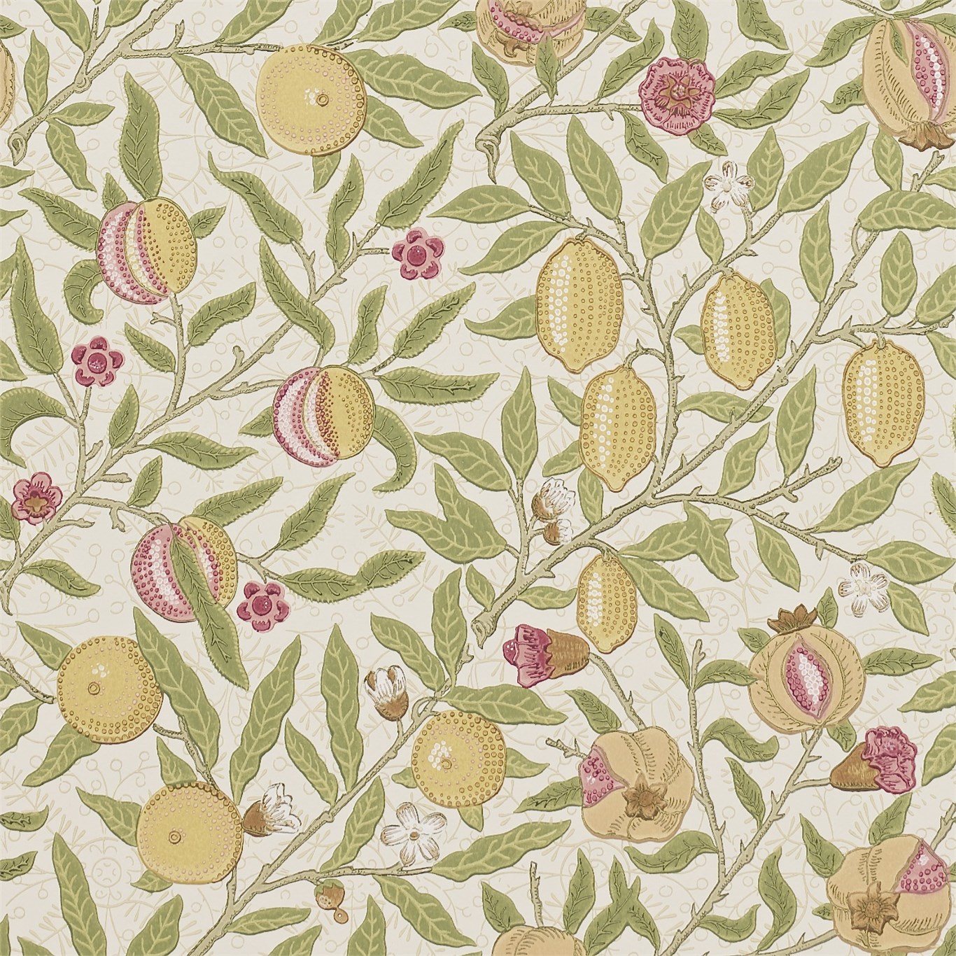 Fruit 210395