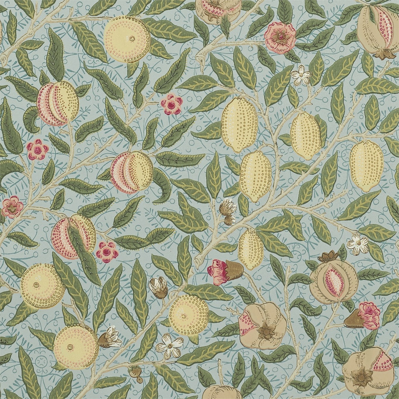Fruit 210396