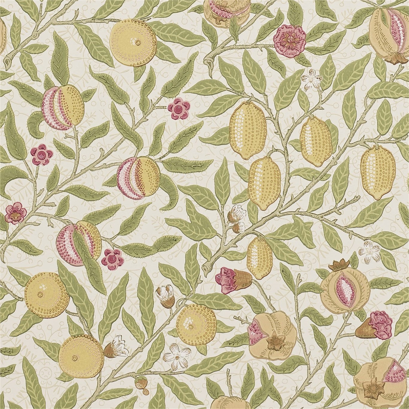 Fruit 216459