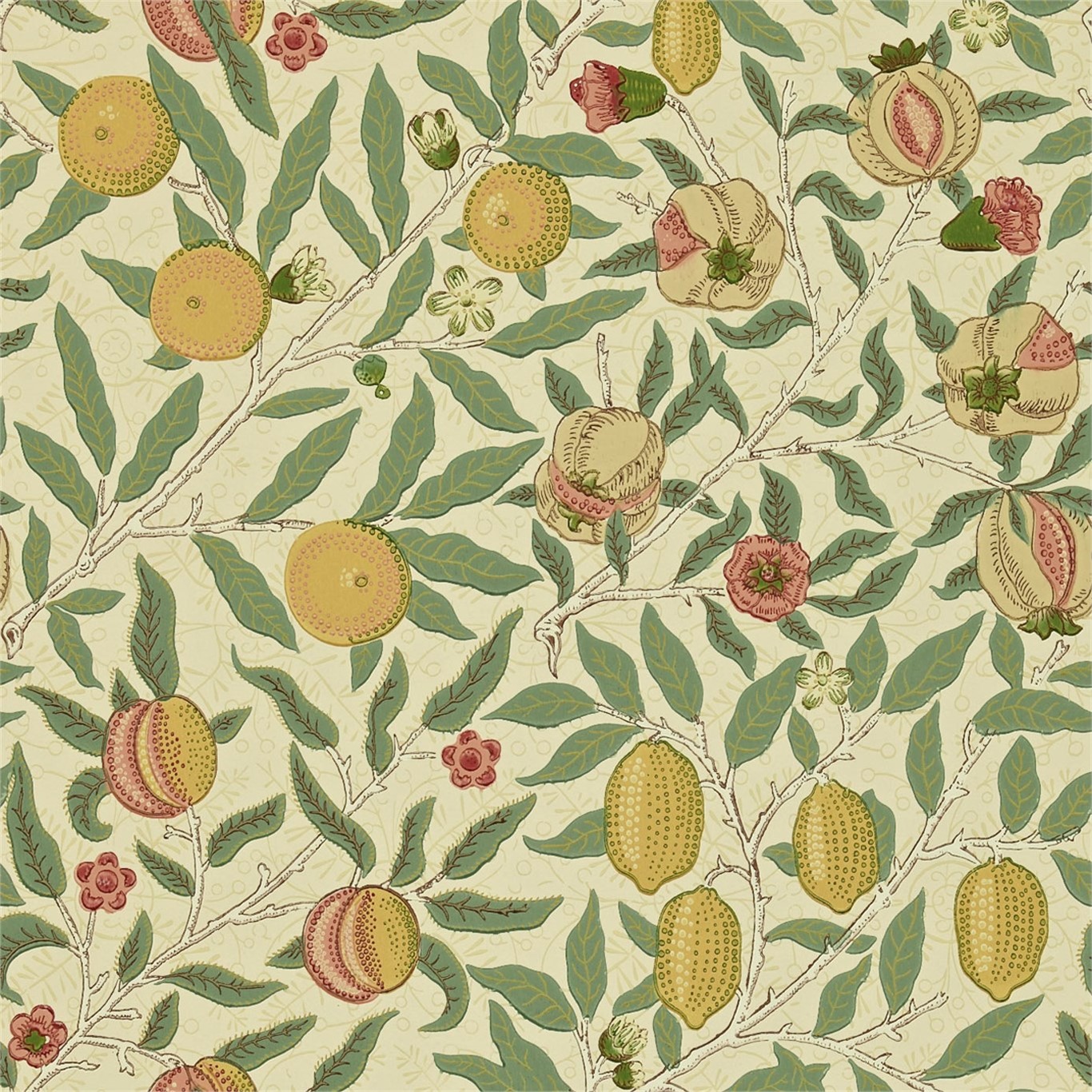 Fruit 216484