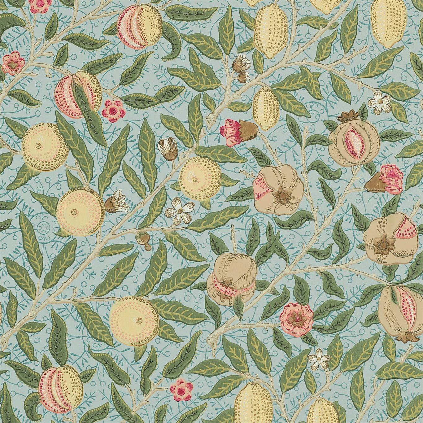 Fruit 216819