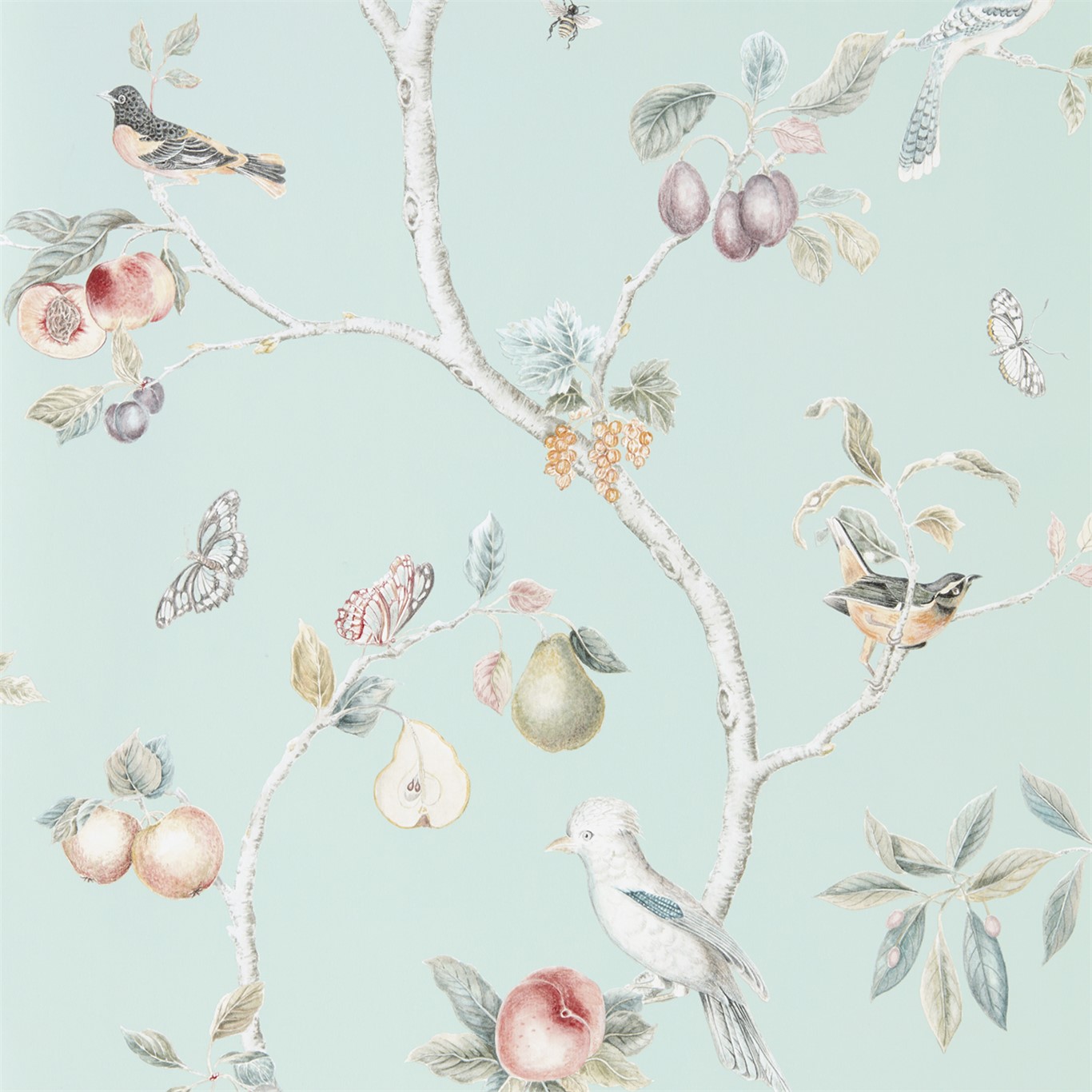 Fruit Aviary 216312