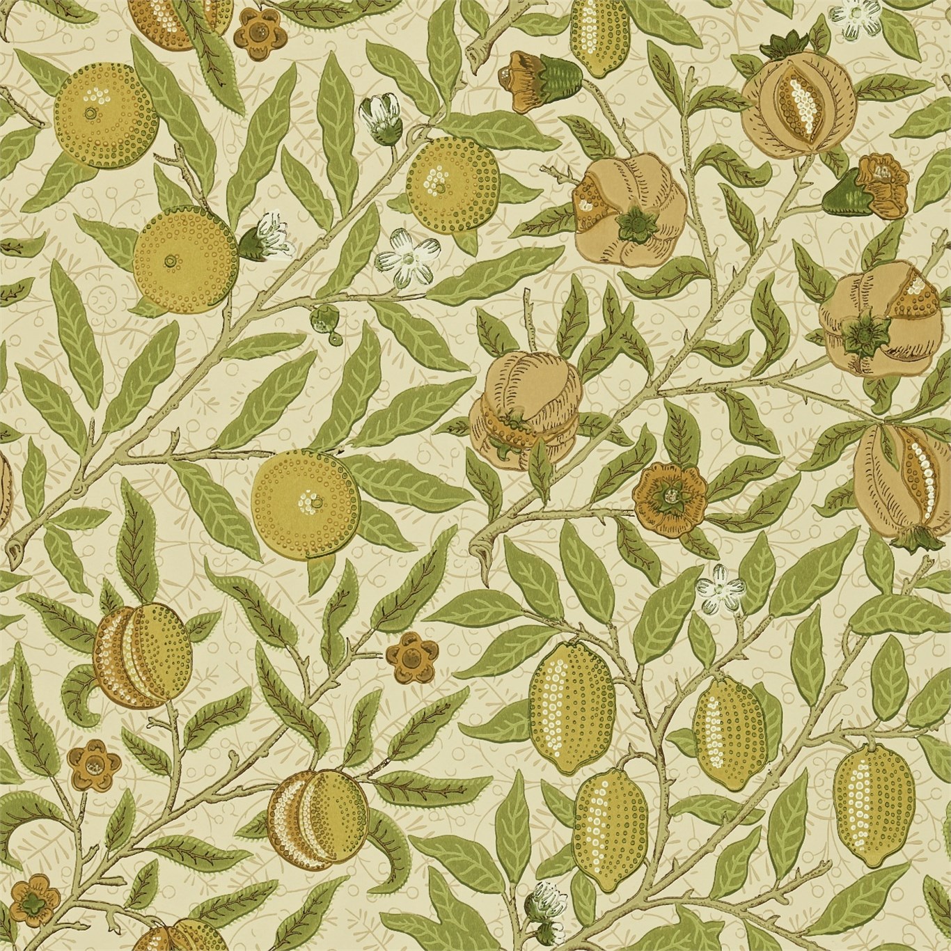 Fruit DMCW210427