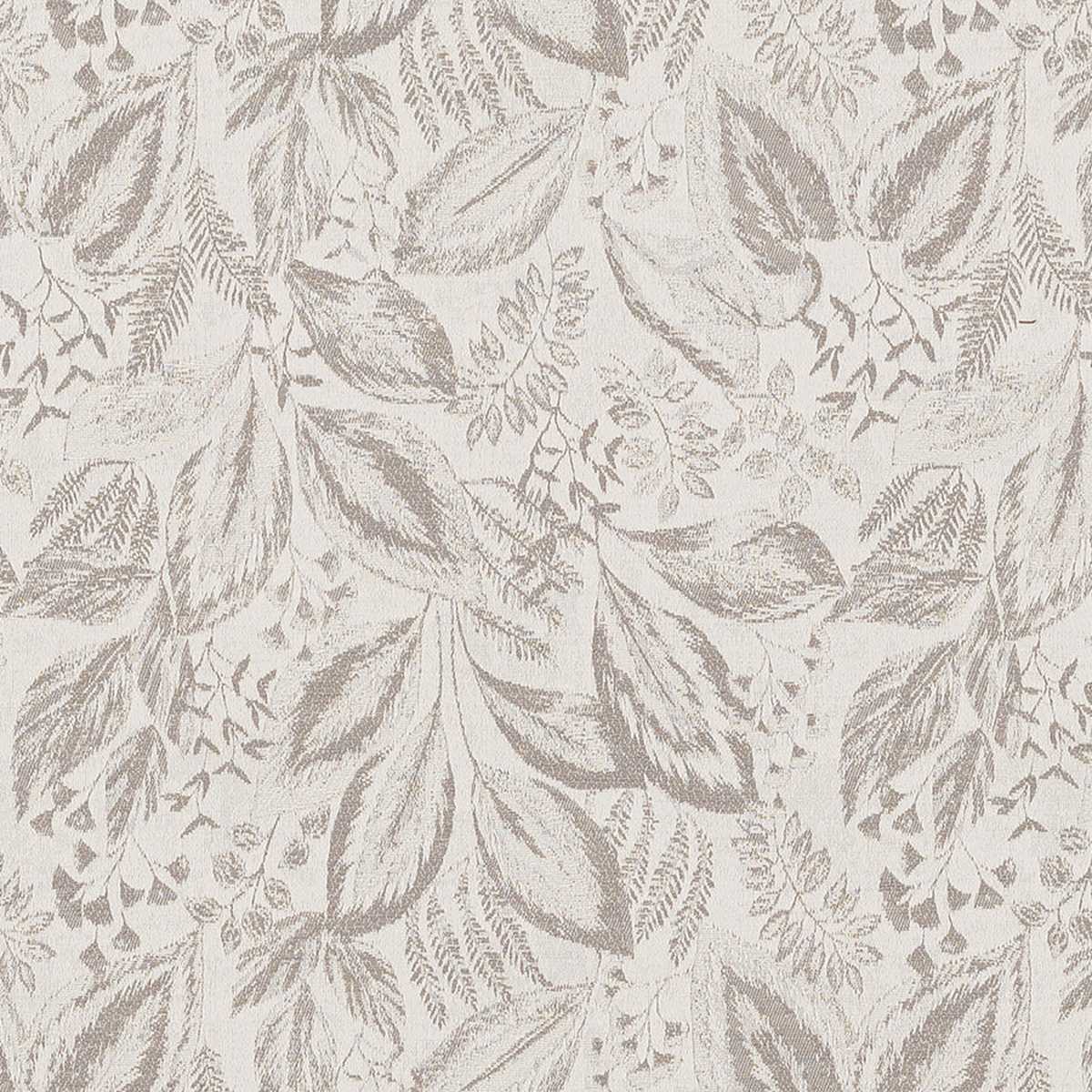 Grosvenor Dove