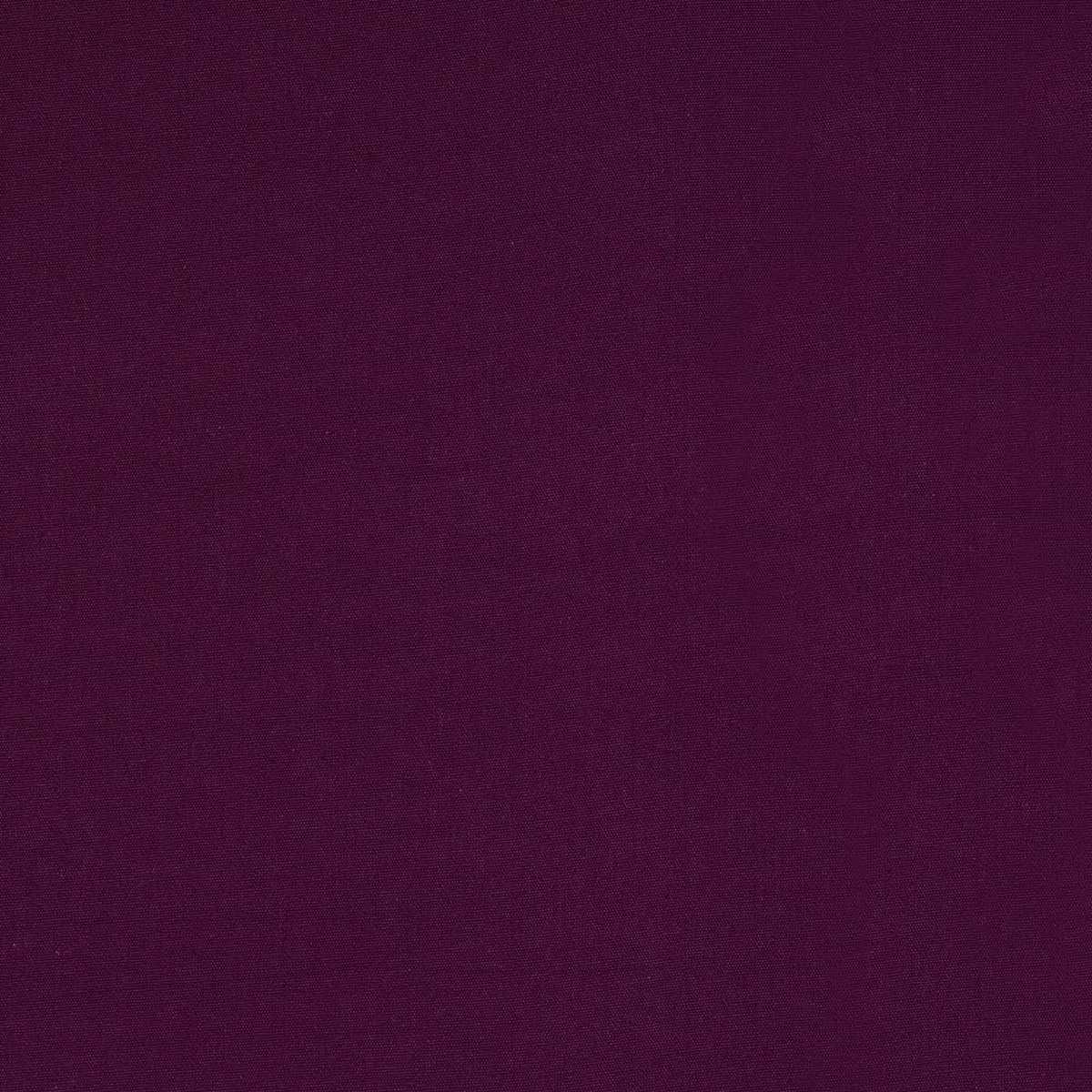 Heritage Panama Plum