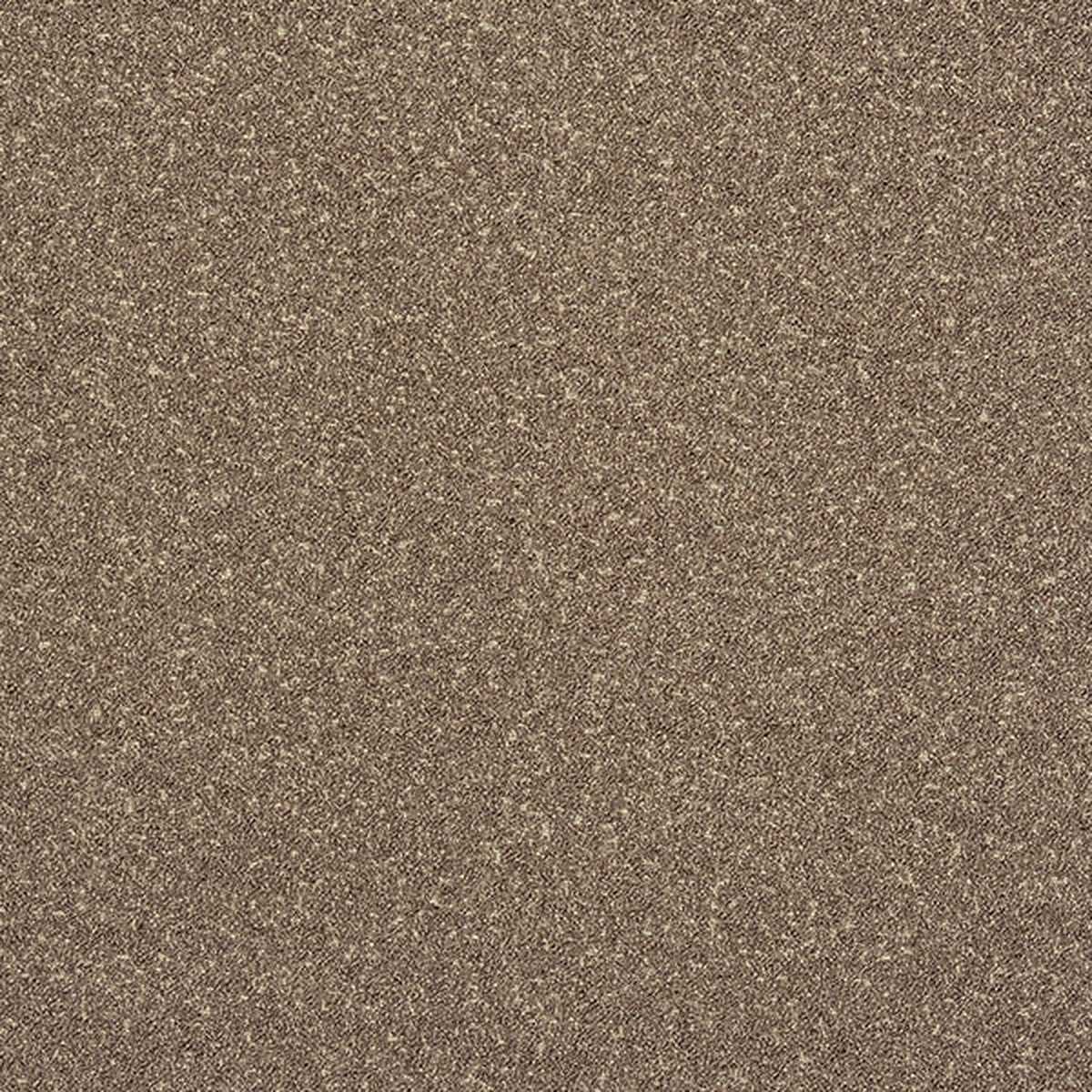 Lux Boucle FR Moleskin