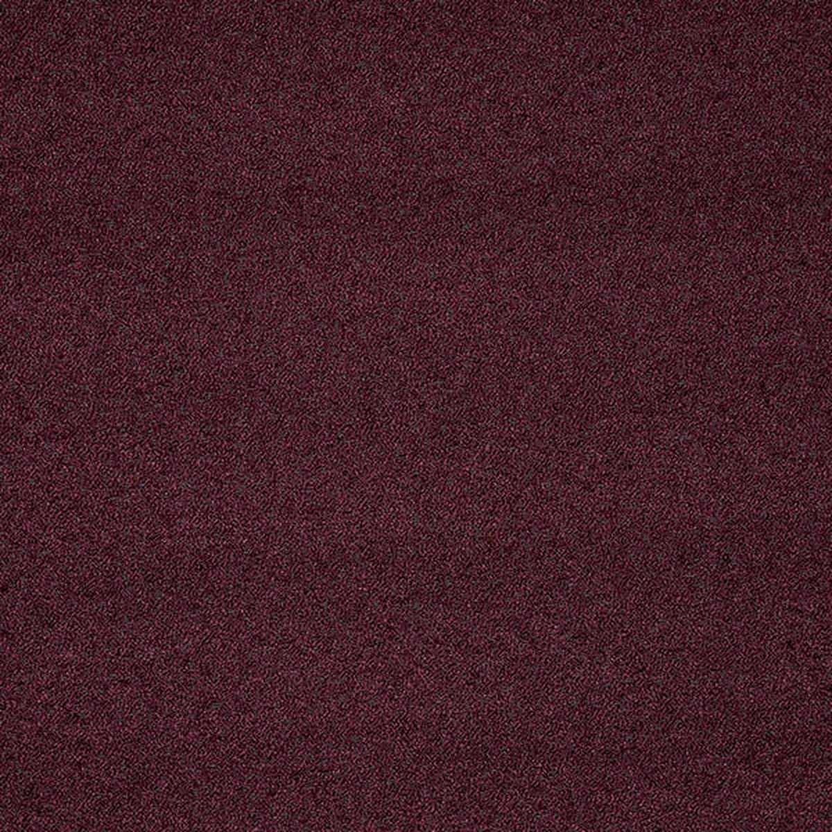 Lux Boucle FR Mulberry