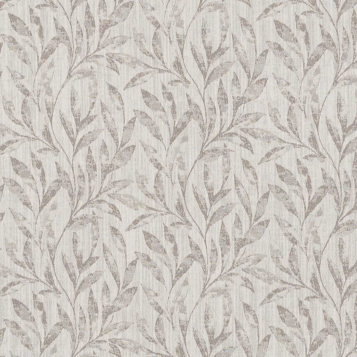 Mayfair Dove