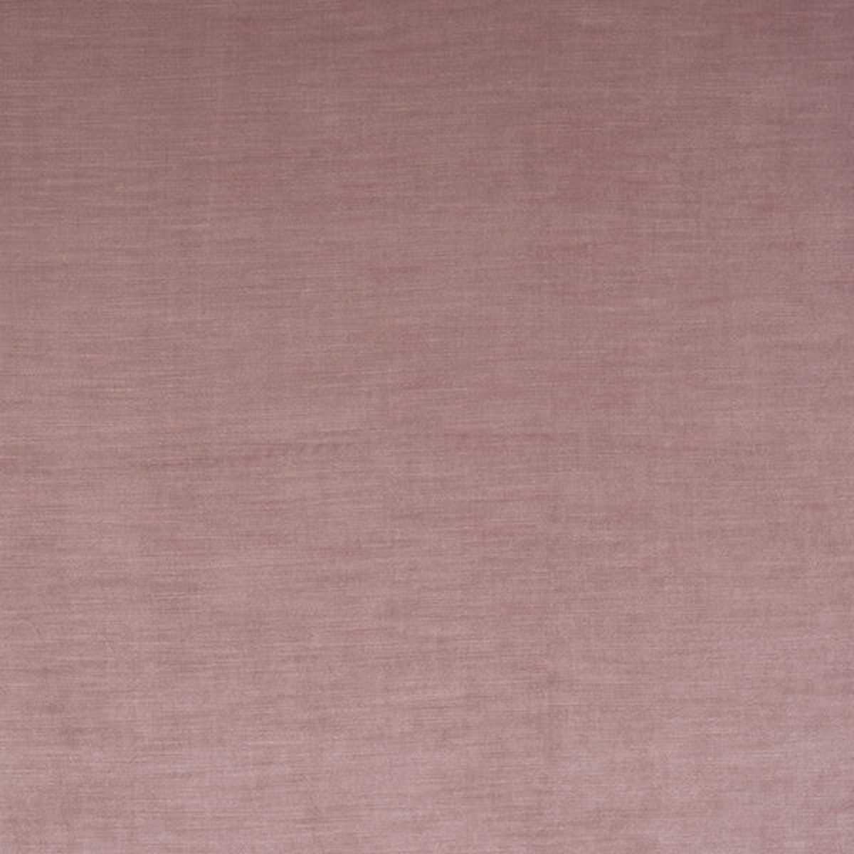 Medici FR Dusky Pink