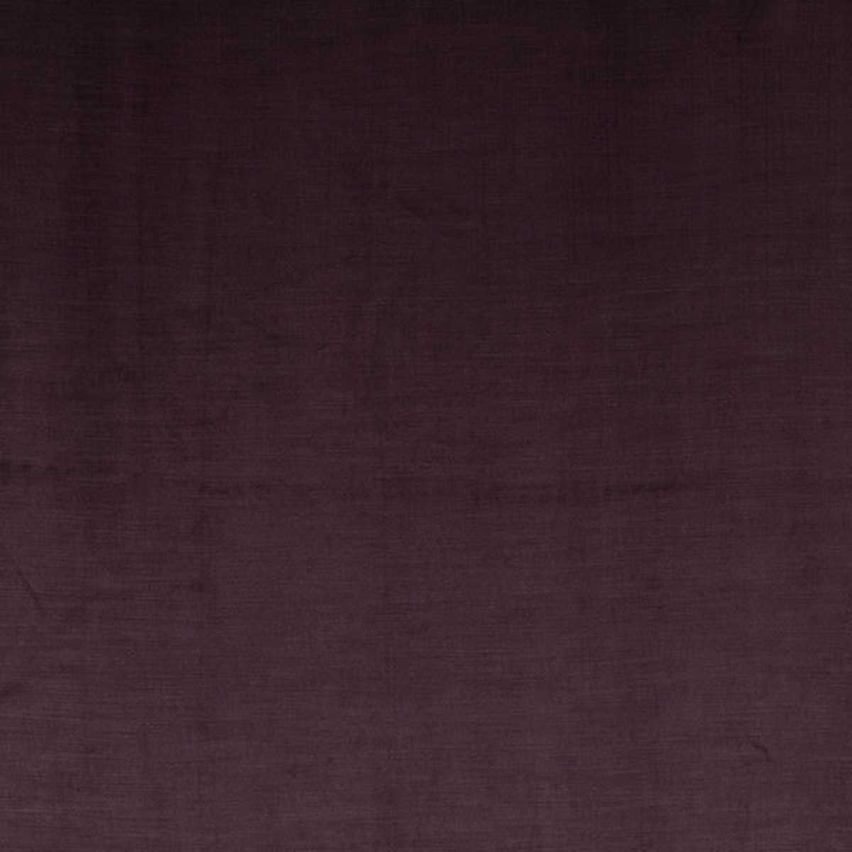 Medici FR Thistle