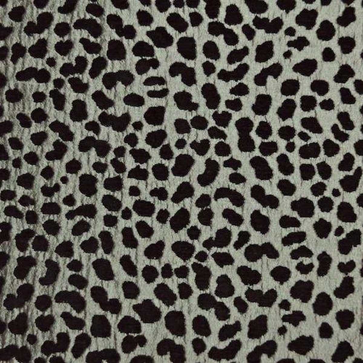 Serengeti Silver
