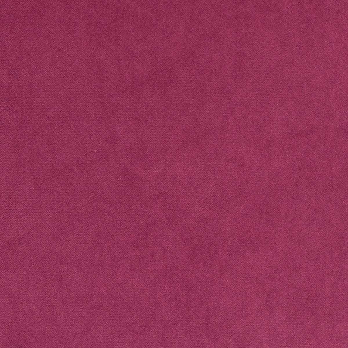 Snug FR Fuchsia