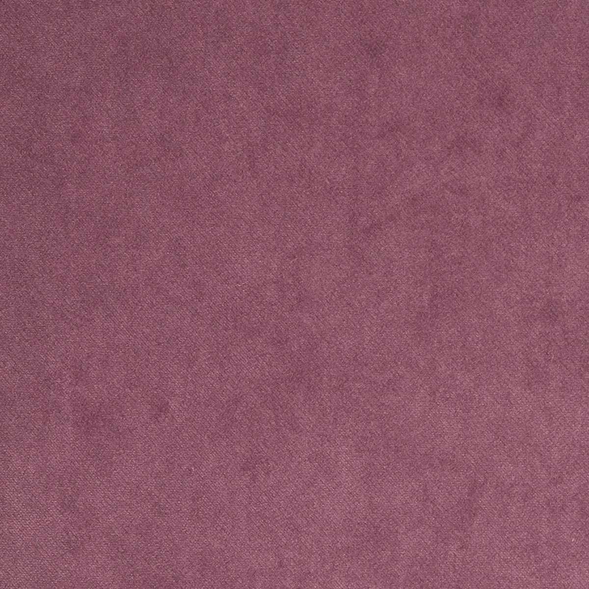 Snug FR Mauve