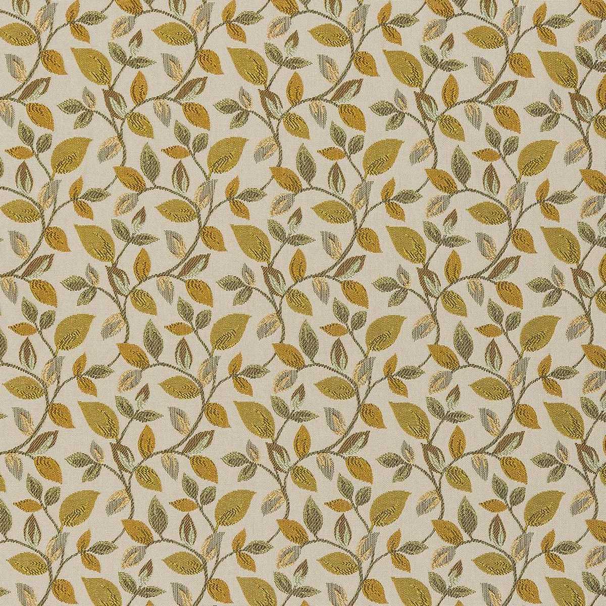 Vercelli FR Ochre