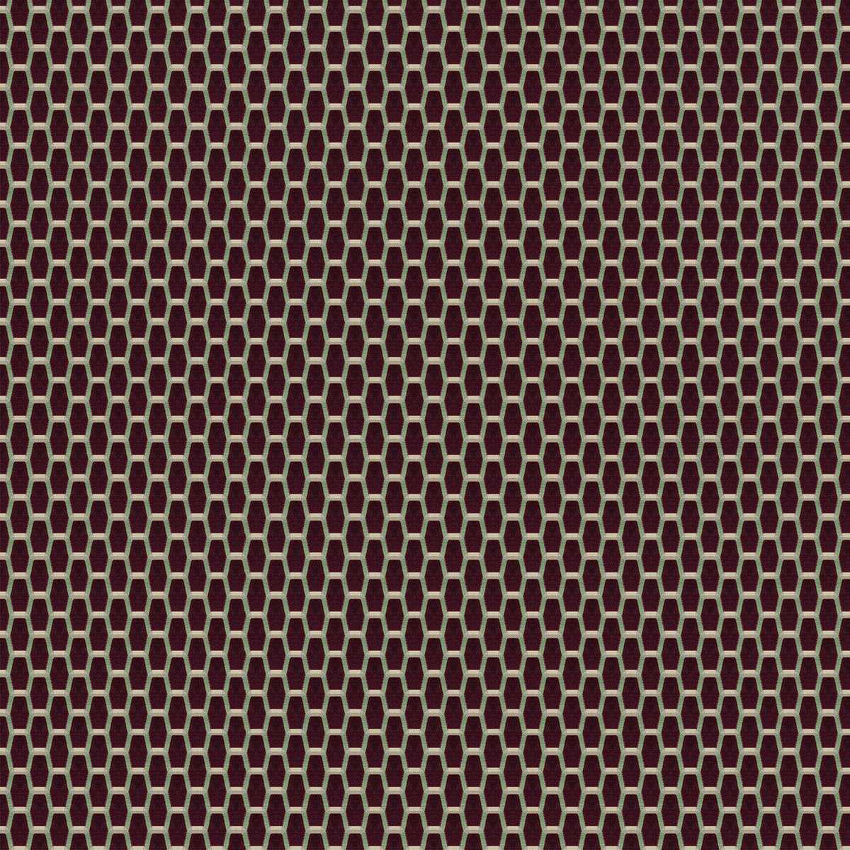 Acebuche LCT-1165-002