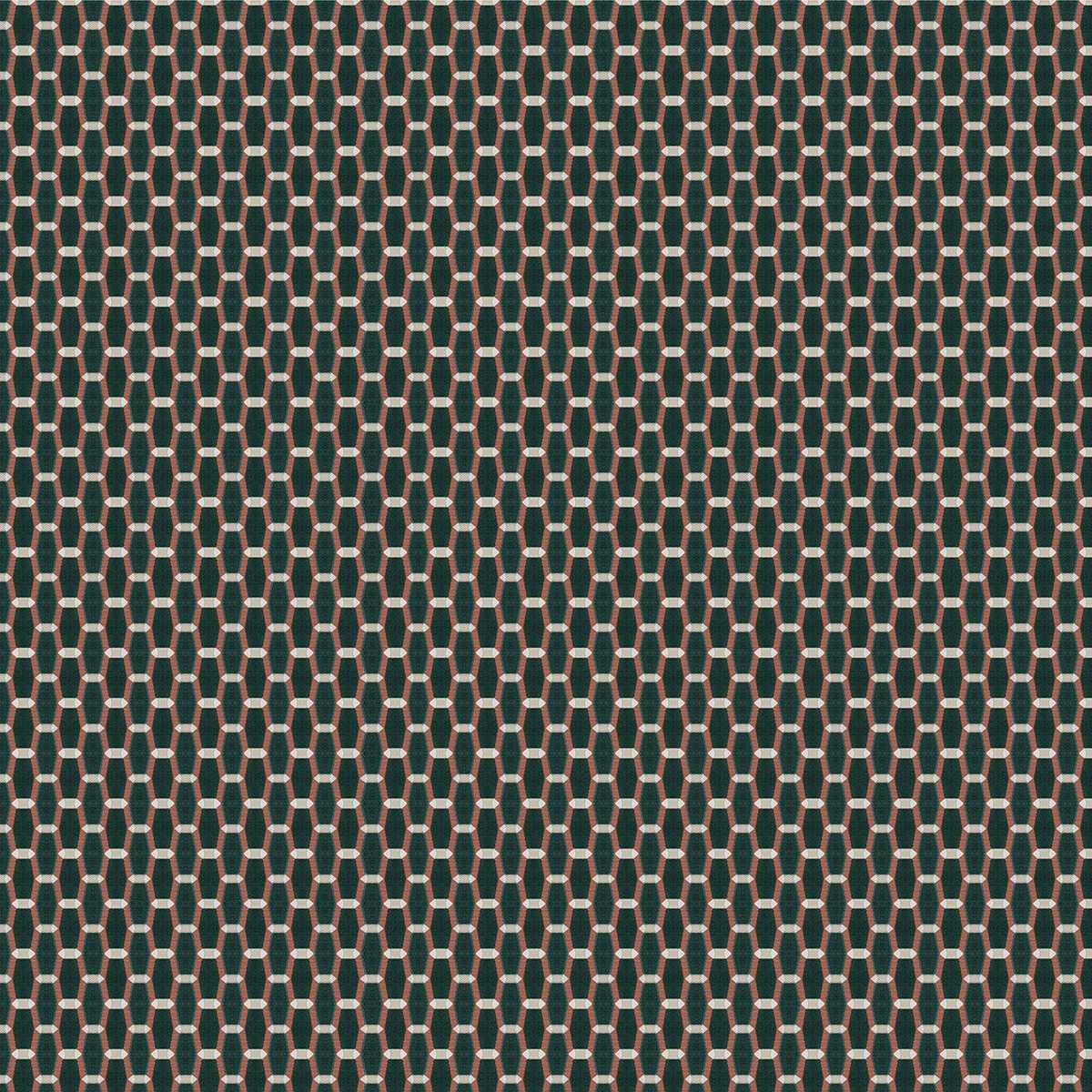 Acebuche LCT-1165-003