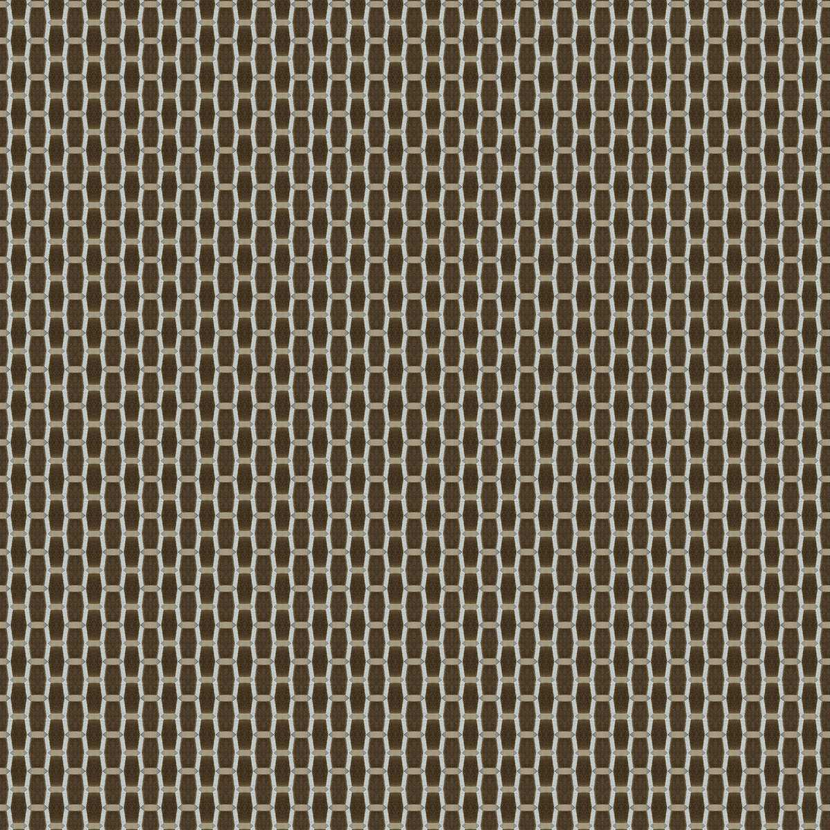 Acebuche LCT-1165-005