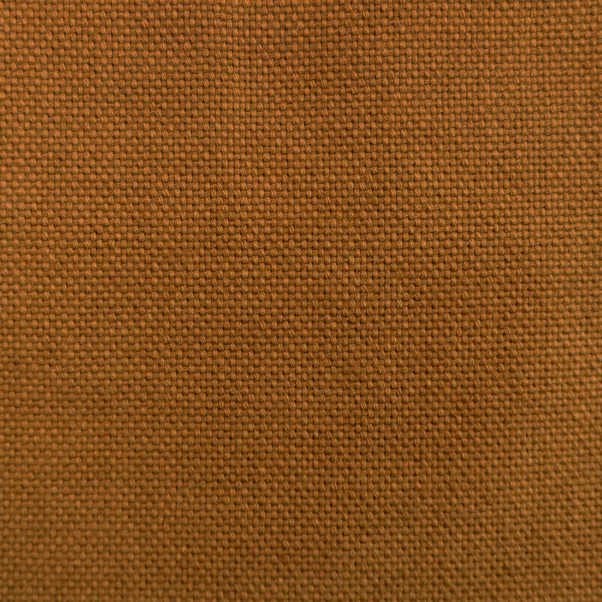 Dobra Calabaza LCT-1075-019