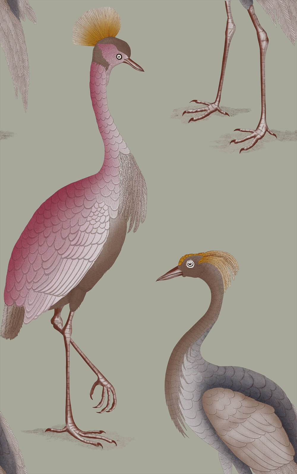 Garzas GDW-5773-001