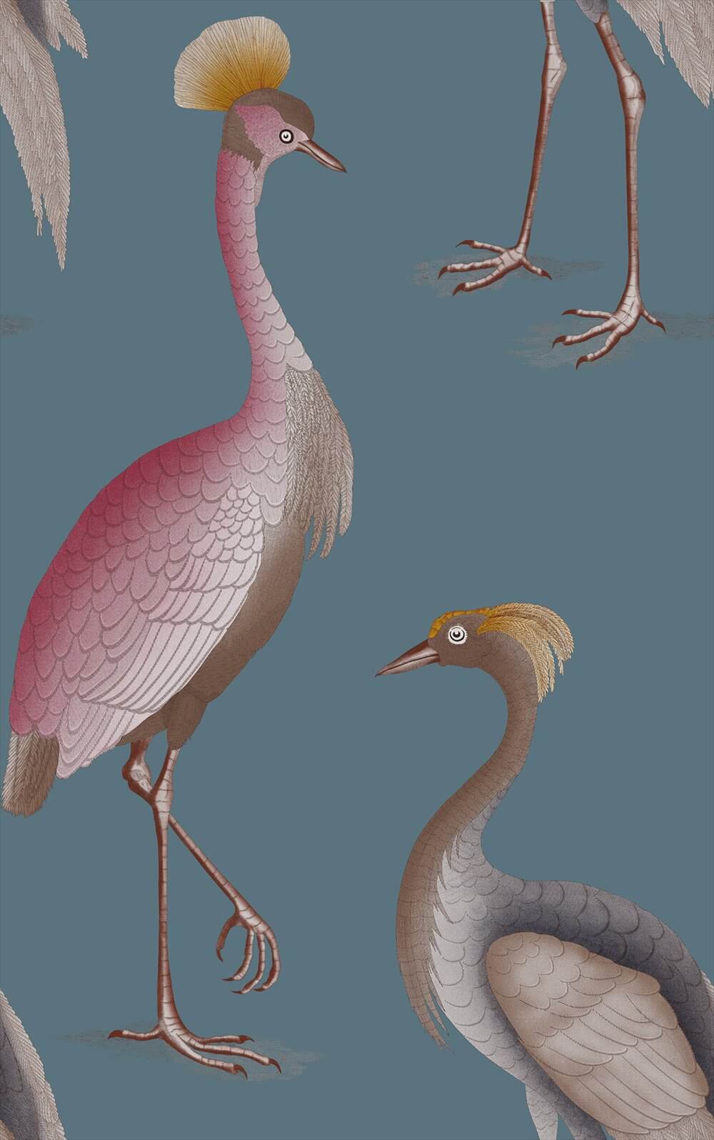 Garzas GDW-5773-002